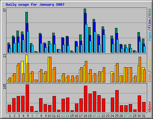 Daily usage for January 2007