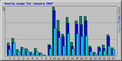 Hourly usage for January 2007